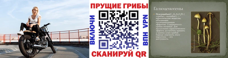 Псилоцибиновые грибы Magic Shrooms  цена наркотик  Евпатория 
