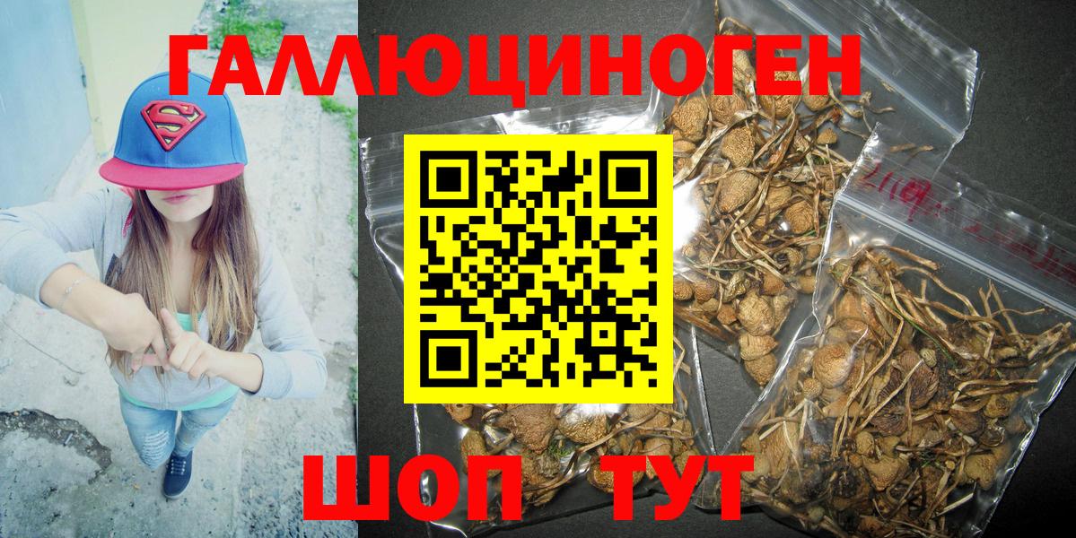 Псилоцибиновые грибы MAGIC MUSHROOMS Евпатория