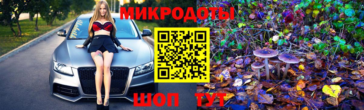 Псилоцибиновые грибы GOLDEN TEACHER  Вход с VPN  Евпатория 